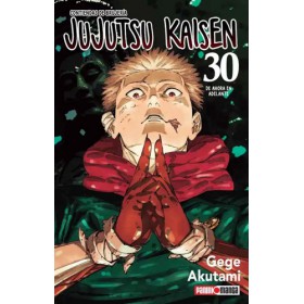 Jujutsu Kaisen 30